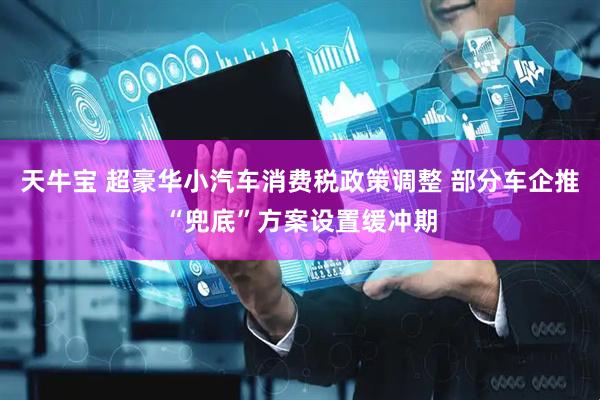 天牛宝 超豪华小汽车消费税政策调整 部分车企推“兜底”方案设置缓冲期