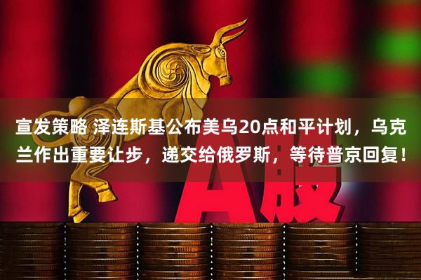 宣发策略 泽连斯基公布美乌20点和平计划，乌克兰作出重要让步，递交给俄罗斯，等待普京回复！